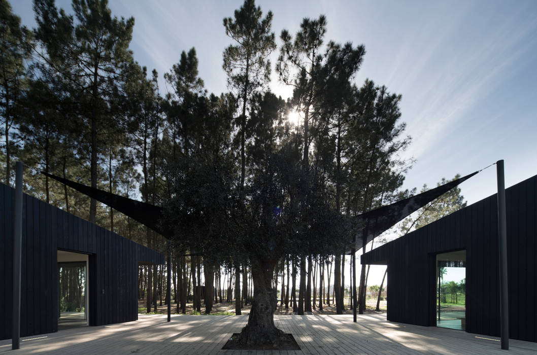 Cabins in Comporta Studio 3A Casas pré-fabricadas Madeira Efeito de madeira sustainability sustainable architecture Cabin Wood