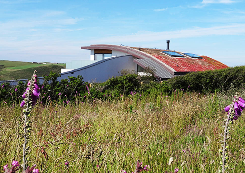 Wild Meadow Garden and Green Curved Roof Arco2 Architecture Ltd Roof new build Polzeath, new build cornwall, polzeath, cornwall, ecofriendly, eco friendly, sustainable, environmentally friendly, green roof, sea views