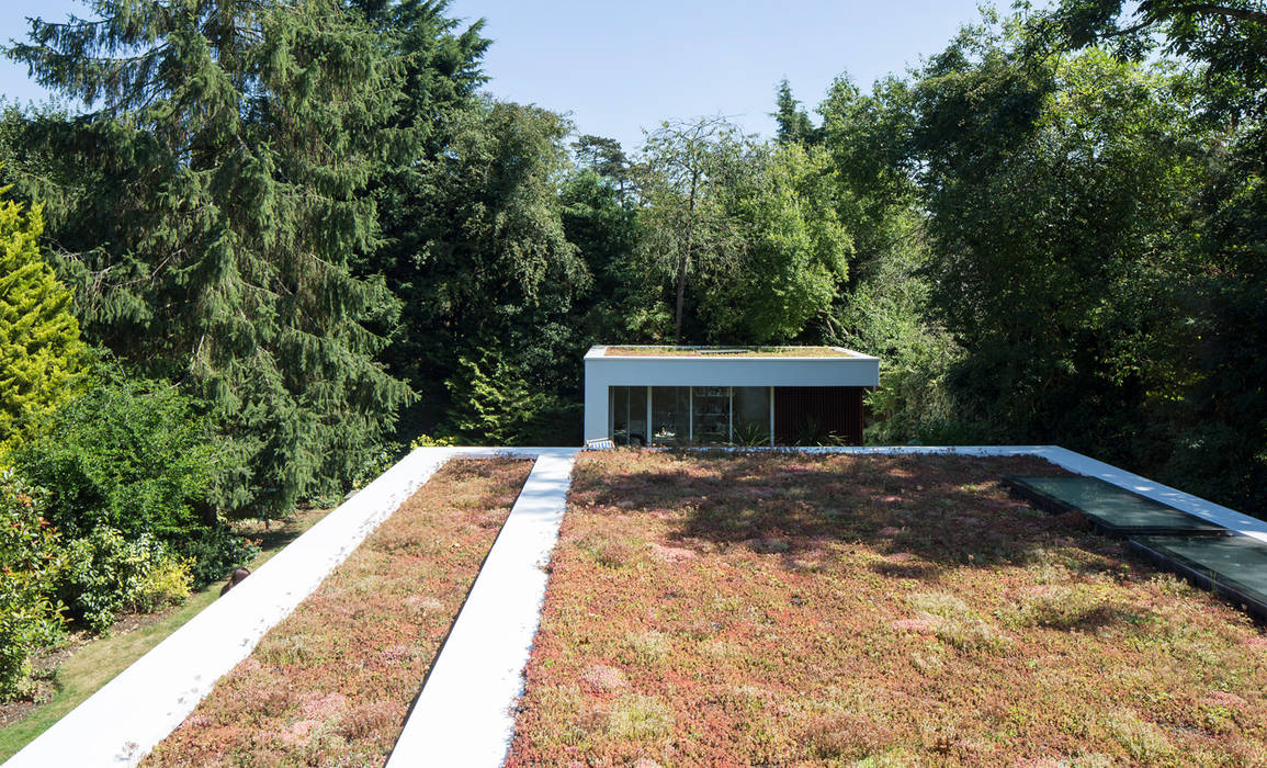 Green Roof Clear Architects Çatı