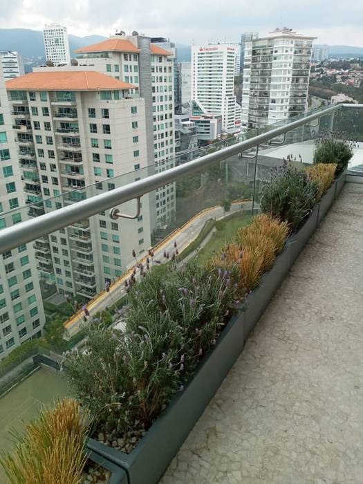 Jardiería para terraza y fachada, Jardineria bonaterra Jardineria bonaterra Jardin moderne Fleurs & Plantes