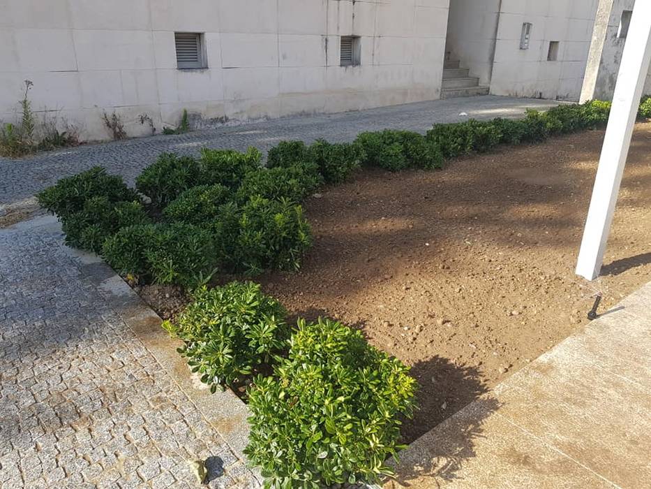 Casa da musica em Moreira da Maia, Viveiros Florido Plantas Viveiros Florido Plantas Jardines de estilo rústico