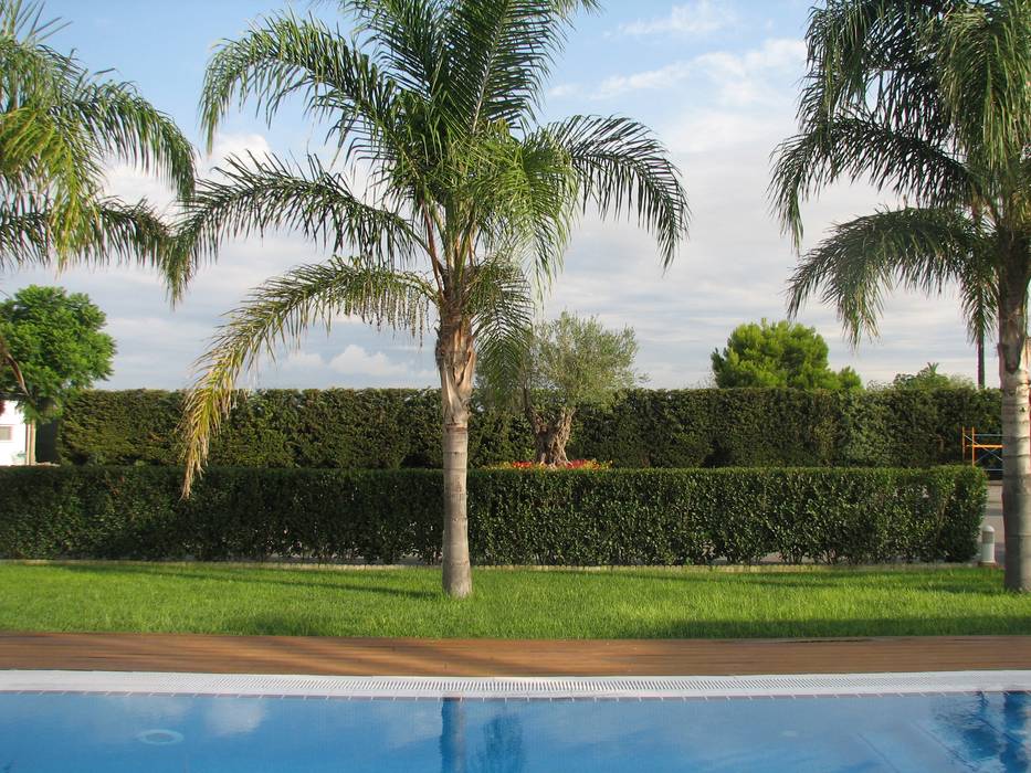 Mantenimiento de jardín en Elche, JARDINERIA POZO S.L. JARDINERIA POZO S.L. Halaman depan