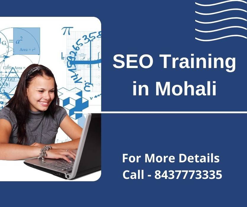 SEO Training in Mohali Tally Training in Mohali Asian style study/office