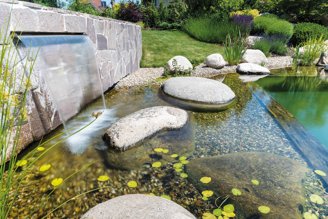 Water Cascade in Swim Pond Water Garden Ltd Piscinas naturales pond, cascade, water feature, water blade, waterfall, pond filter