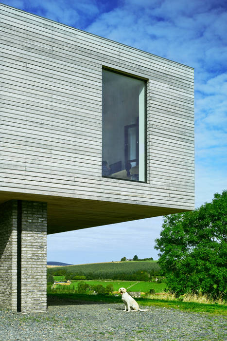 A happy dog Brown & Brown Architects Nhà gia đình House, Dream home, timber, glass, cantilever, Aberdeenshire, Scotland, UK,