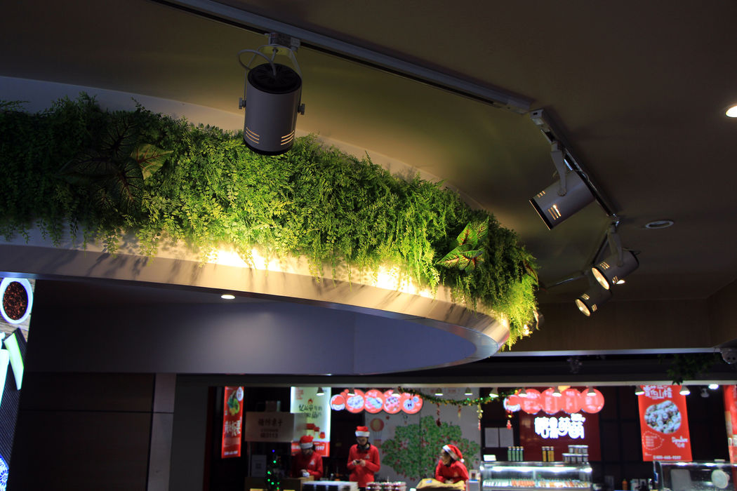 Artificial plants wall for interior storefront landscape sunwing