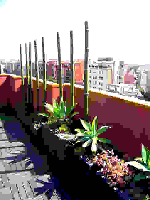Barcelona-Meridiana, Simbiosi Estudi Simbiosi Estudi Modern garden