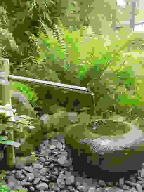 Feng Shui im Garten CONSCIOUS DESIGN - INTERIORS Asiatischer Garten Anlage,Pflanzengemeinschaft,Grün,Blatt,Natur,Botanik,Natürliche Landschaft,Wasser,Landpflanze,Vegetation