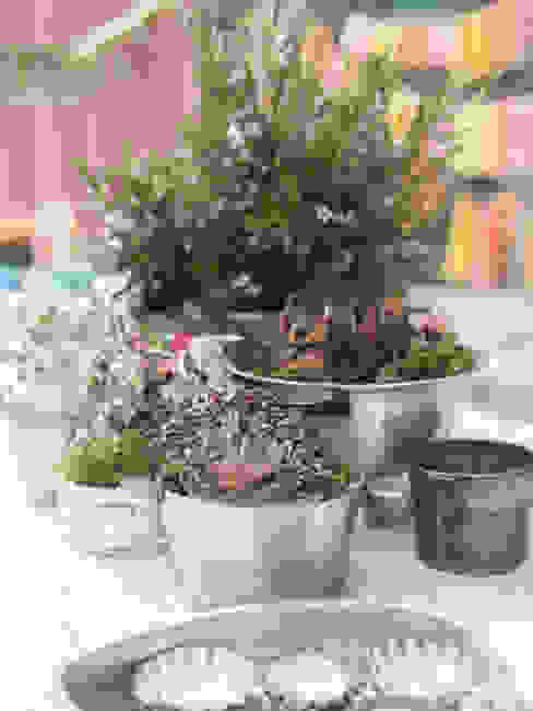 por www.rocio-olmo.com Campestre