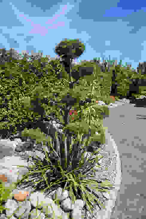 Steinbeete Im Garten