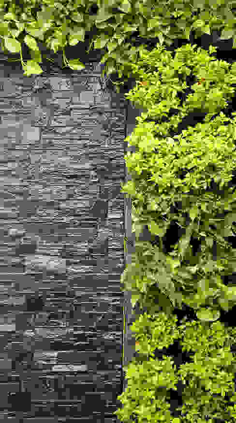 Green wall CONILLAS - exteriors Garden Accessories & decoration