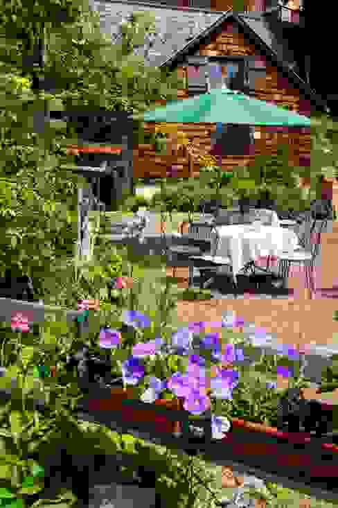 Hotel Villa Rosa, villa rosa villa rosa Jardin rustique Fleur,Plante,Pot de fleur,Botanique,Immeuble,Mauve,Arbre,Pétale,Végétation,Bois