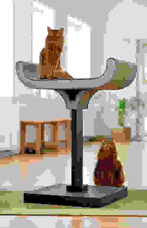 Design Kratzmöbel, cat-on cat-on Living roomLighting Wood