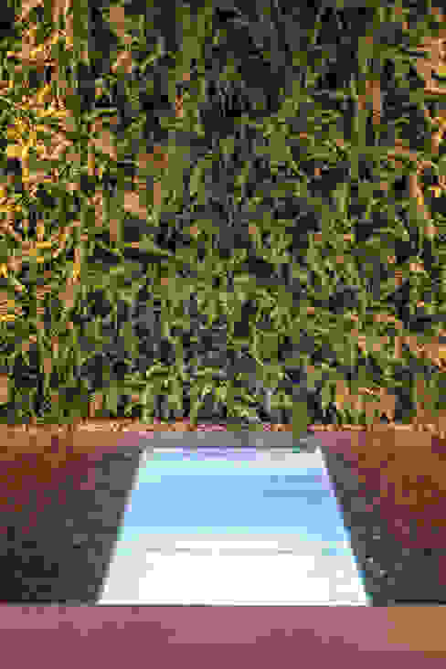 小さな裏庭を快適にするための 27のアイディア Homify