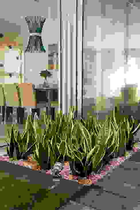 Kolam Ikan Depan Rumah Menurut Islam Tentang Kolam Kandang