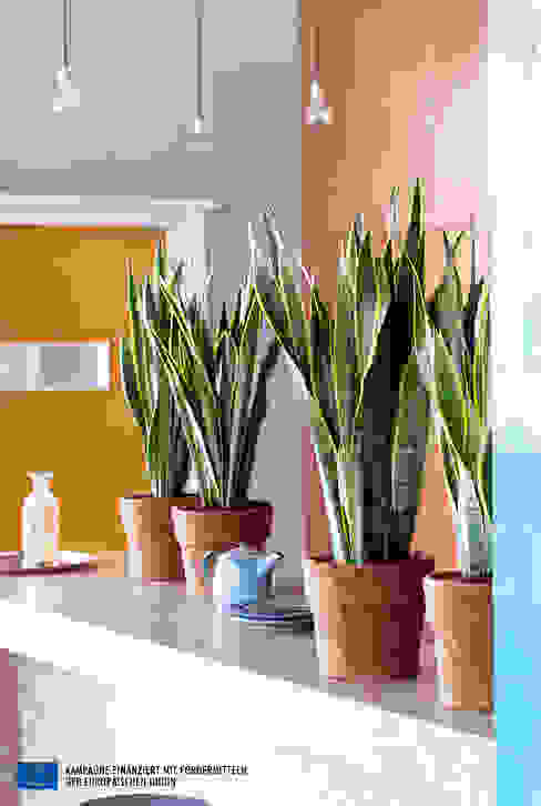 Interior landscaping oleh Pflanzenfreude.de