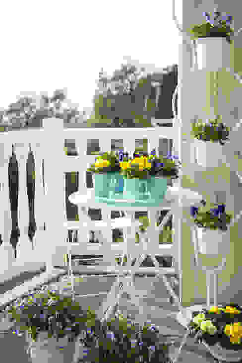 Pflanzenfreude.de Balconies, verandas & terraces Plants & flowers