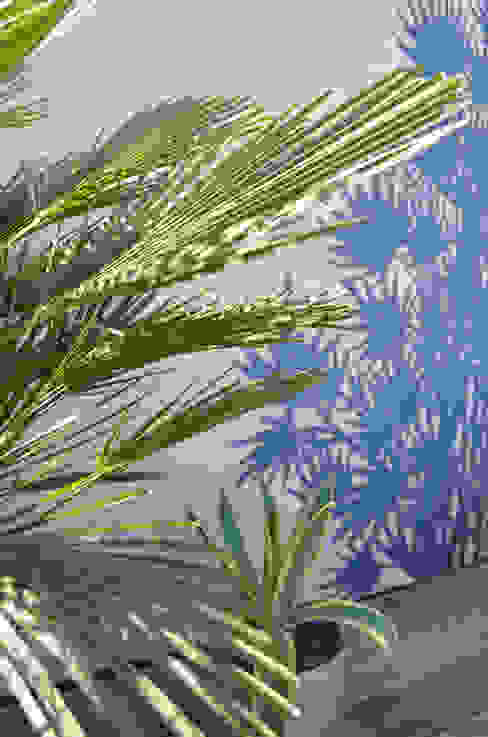 Slowgarden AVP 6 2013 - Thiết kế nh&agrave; hướng t&acirc;y tr&aacute;nh nắng n&oacute;ng xanh m&aacute;t