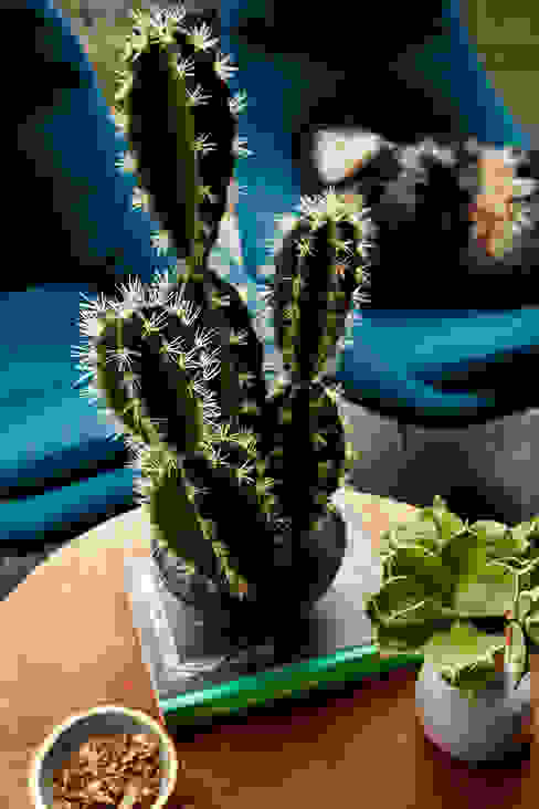 Sinai faux cactus Abigail Ahern Внутрішнє озеленення