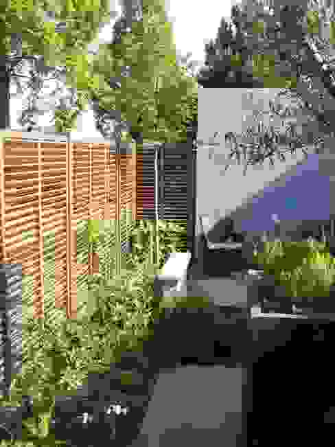 Groene omlijsting Ontwerpstudio Angela's Tuinen Moderne tuinen Plant,Dag,Eigendom,Lucht,Weg oppervlak,Boom,land veel,Schaduw,vegetatie,Gras