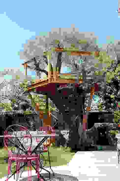 La terrasse de l'olivier, Cabaneo Cabaneo Jardin méditerranéen Plante,Ciel,Arbre,Loisirs,Bois,Paysage,Arécales,Ombre,Gazon,Pot de fleur