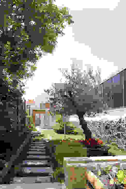 HOUSE NM_PÓVOA DE VARZIM_2015, PFS-arquitectura PFS-arquitectura Jardins minimalistas