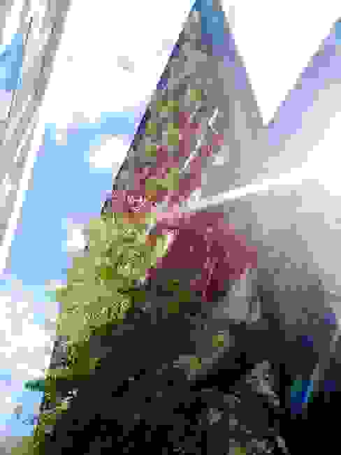 Como decorar tu jardín con bambú (en 3 sencillos pasos) | homify | homify