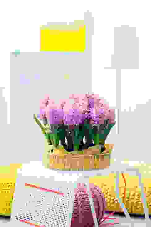 Ev Icinde Yetisen Cicekler 16 Ornek Homify