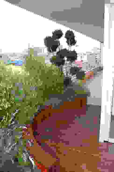 Antes y después: de terraza desaprovechada a jardín de ensueño | homify