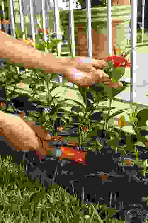 Manutenção e nutrição de jardim residencial, Ecojardim Ecojardim 庭植木＆花