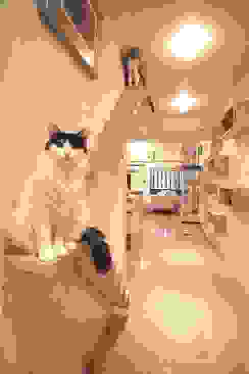 廊下を実用的 おしゃれに変えるデザイン5選 Homify