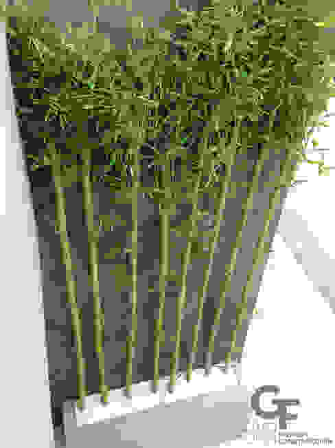 CAROLCO 2, GF ARQUITECTOS GF ARQUITECTOS Modern garden Bamboo