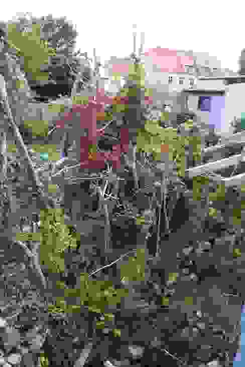 Verwunschene Wilde Garten Aus Eberswalde