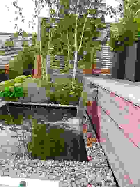 Penthouse Terrace, St. Stephens Gardens, London, GreenlinesDesign Ltd GreenlinesDesign Ltd Balcones y terrazas escandinavas Birch,garden Pond,Water Feature,Venetian Trellis,Privacy Trellis,Rooftop