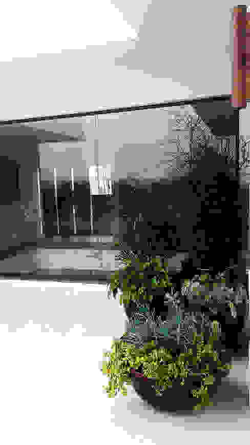 RESIDÊNCIA TM, Lá Fora | arquitetura da paisagem Lá Fora | arquitetura da paisagem Jardins modernos terraço,jardim,paisagismo,suculentas,vasos,vasos de plantas