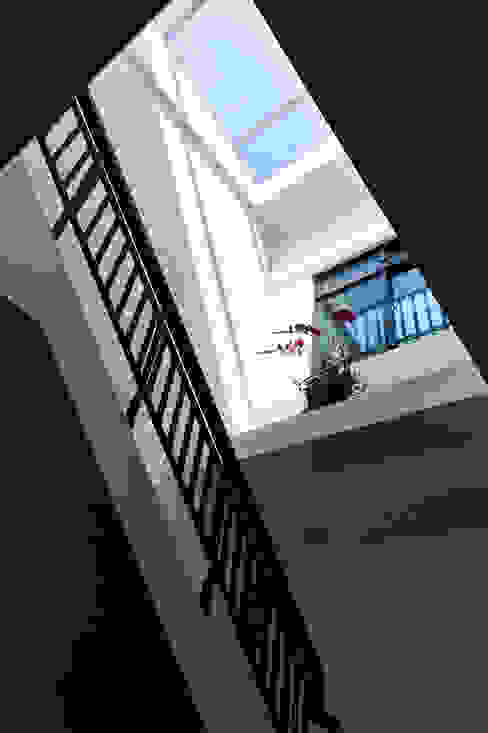 清新通透家居:6 个提升采光度的现代天井设计