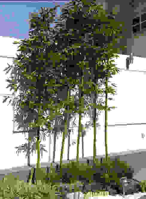 Diseño de jardines en Ciudad de México