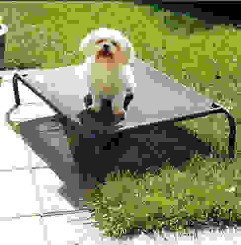 dog garden furniture