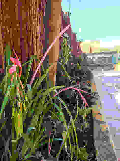 Jardineras para interior y exterior: ¡encuentra el estilo perfecto