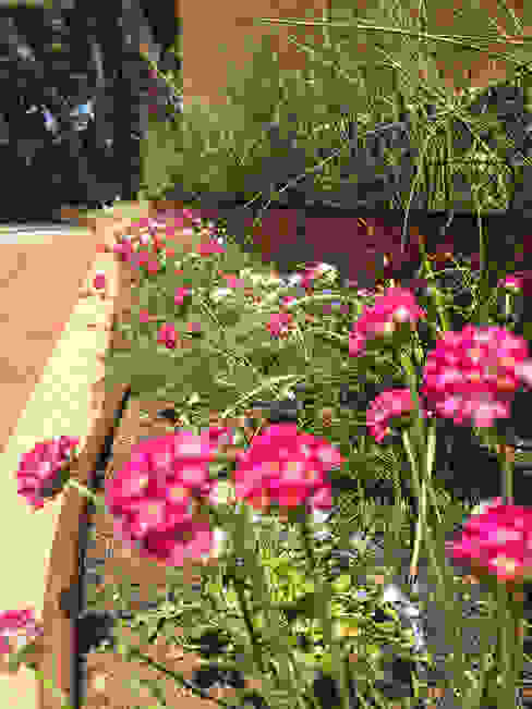 Jardineras para interior y exterior: ¡encuentra el estilo perfecto