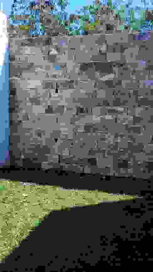 15 Elementos Estructurales Imprescindibles en el Sistema de