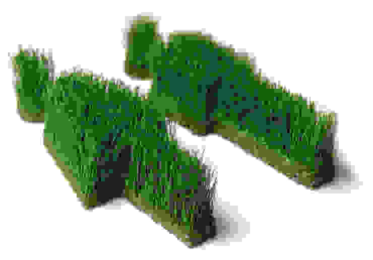 Grassland