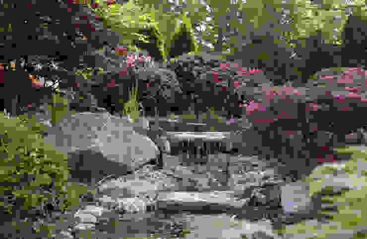 Bachläufe, Kirchner Garten & Teich GmbH Kirchner Garten & Teich GmbH Moderner Garten Pflanze,Wasser,Blume,Pflanzengemeinschaft,Natürliche Landschaft,Baum,Gras,Bank,Strauch,Blütenblatt