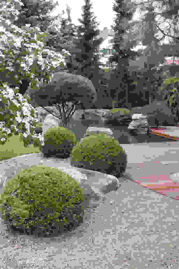 Kompletter Garten In Meissen Moderner Garten Von Kirchner Garten Teich Gmbh Modern Homify