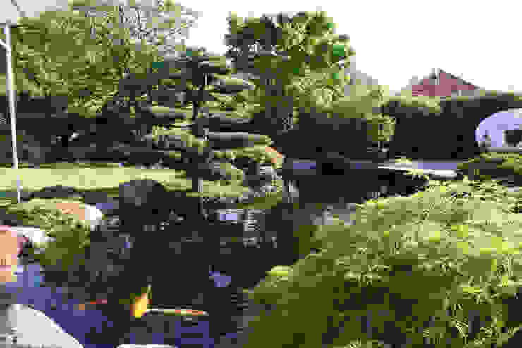 Wasser Im Garten Inszenieren Homify Homify