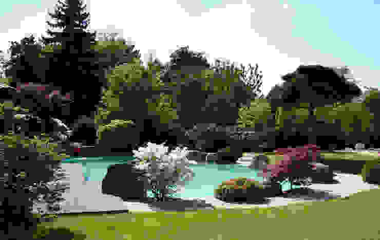 Natural Pool In Braunschweig By Kirchner Garten Teich Gmbh Homify