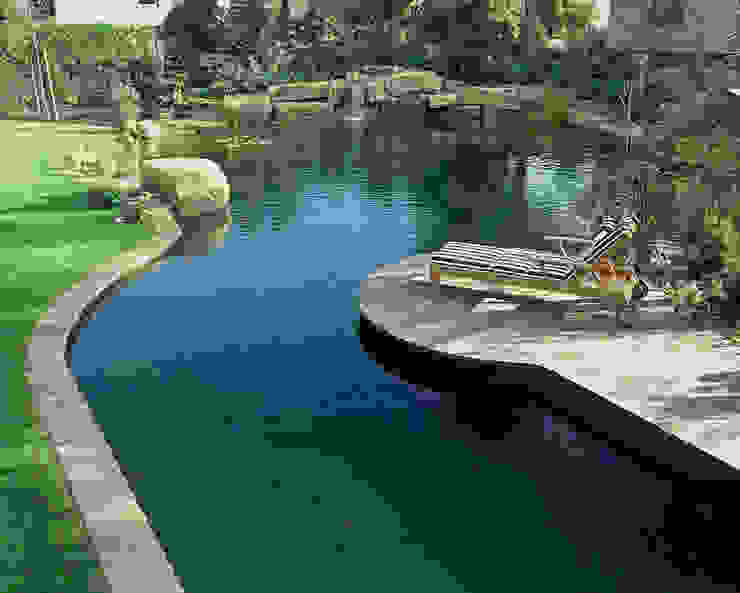 Schwimmteich in Neustadt, Kirchner Garten & Teich GmbH Kirchner Garten & Teich GmbH Moderner Garten Wasser,Pflanze,Wasservorräte,Wirbeltier,Natürliche Landschaft,Gewässer,Wasserlauf,Freizeit,See,Landschaft