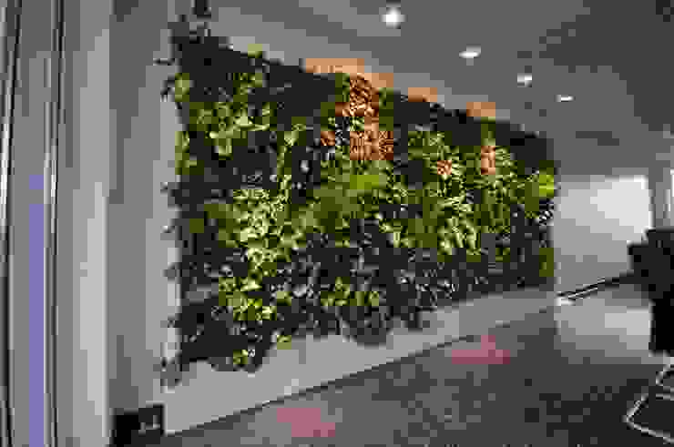 Wandgärten für drinnen und draußen | homify