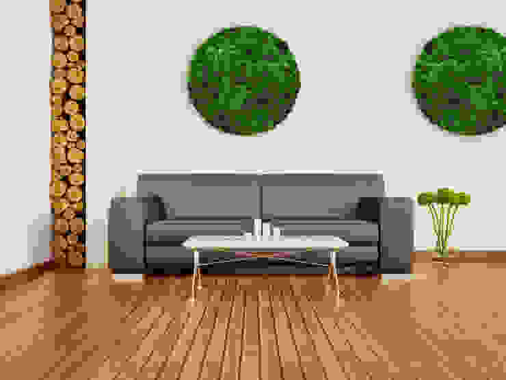 homify