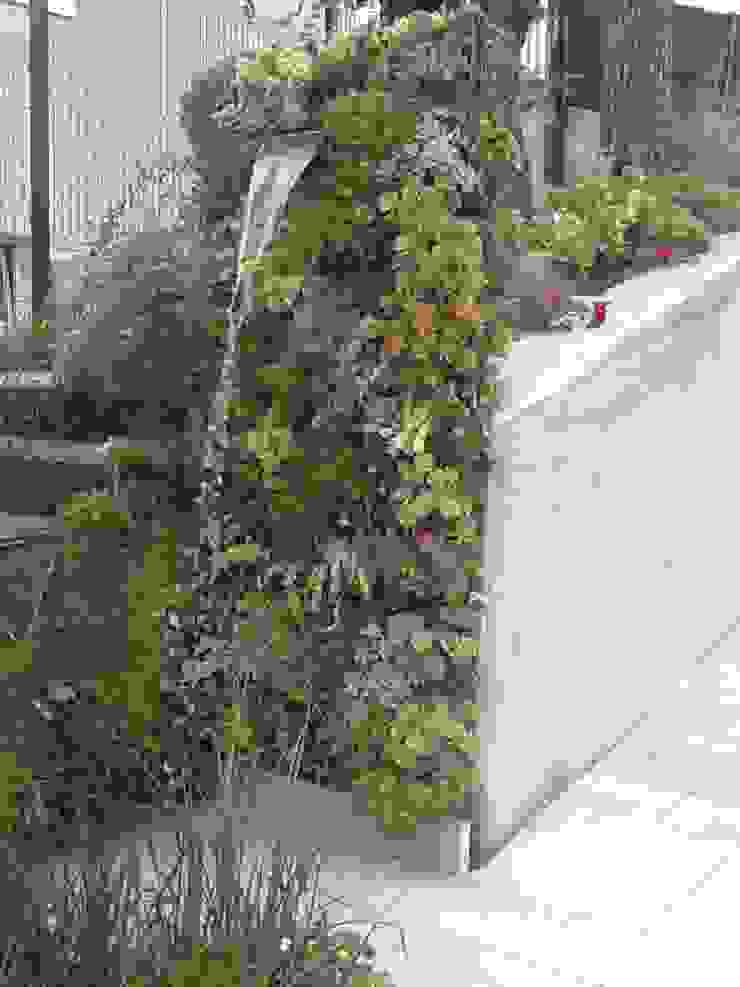 DUCHA VEGETAL, PhytoKinetic S.L. PhytoKinetic S.L. Ausgefallener Garten